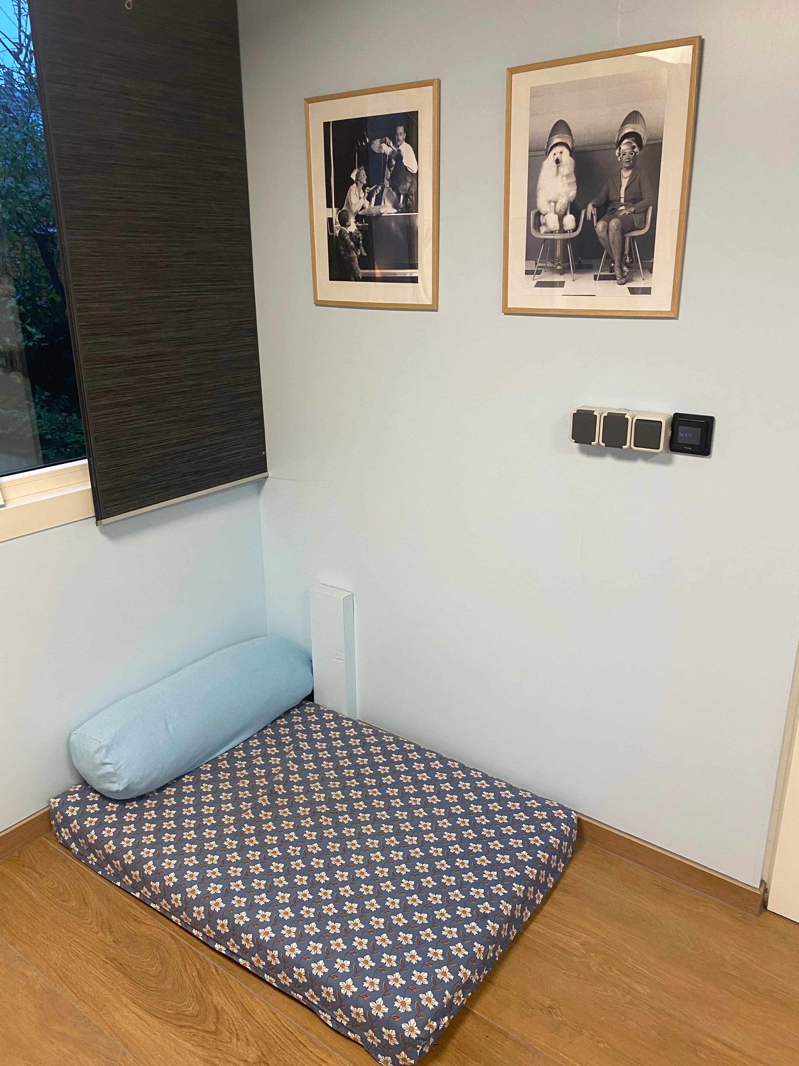 De trimsalon, foto 2
