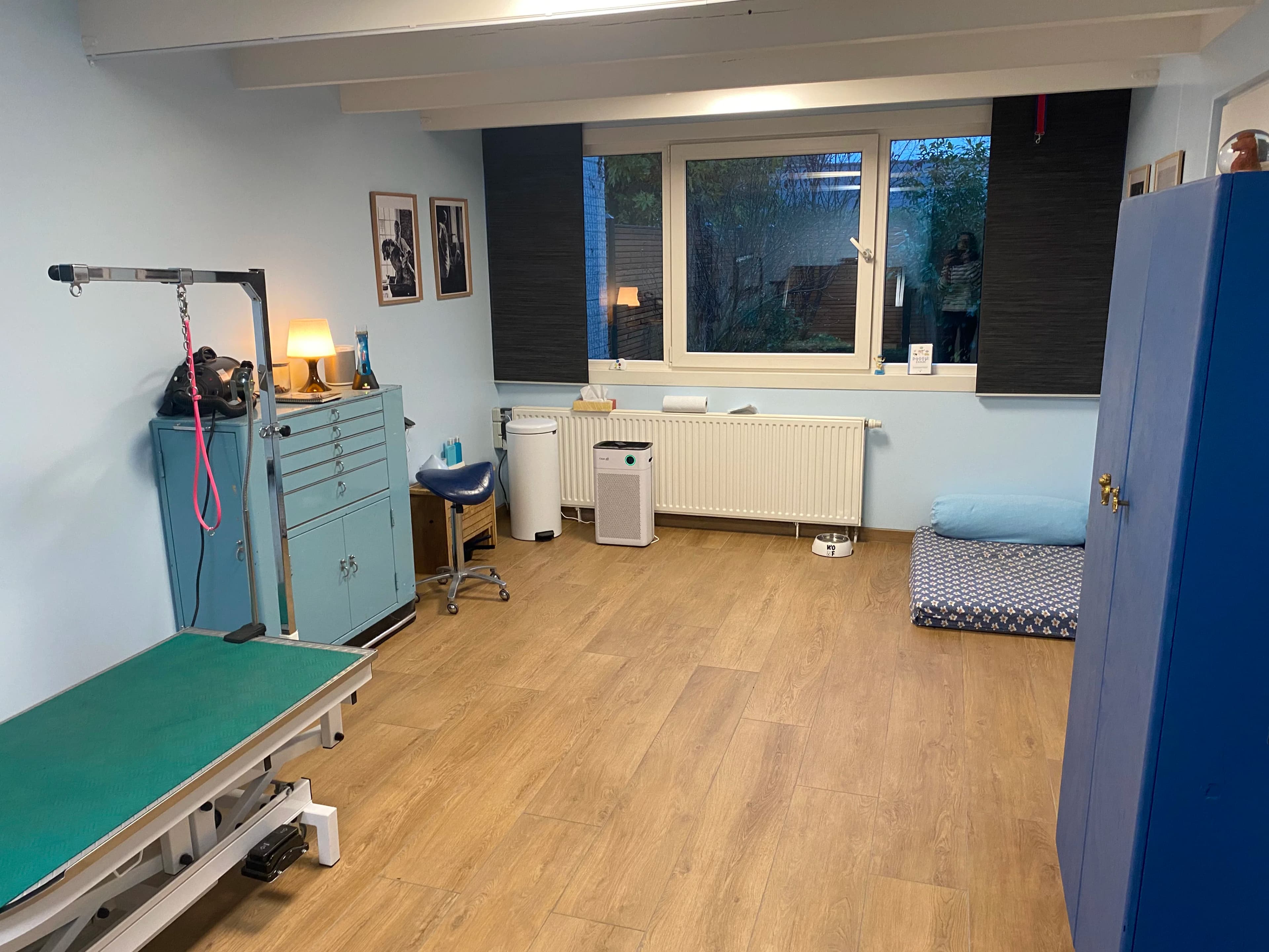 De trimsalon, foto 4